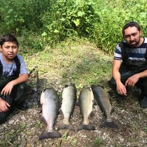 Meet your Posher, Abdulbaki